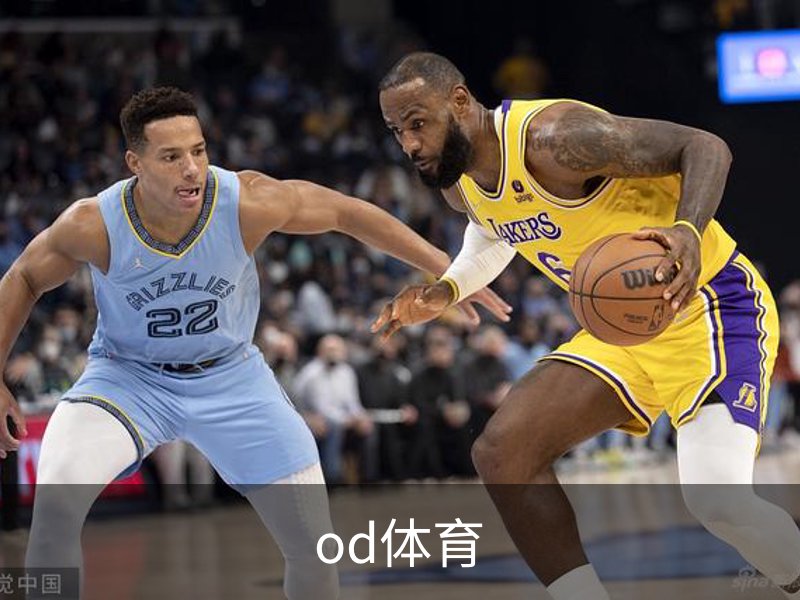 od体育概况